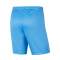 Spodenki Nike Kids dzianina Park III