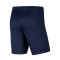 Spodenki Nike Kids dzianina Park III