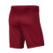 Spodenki Nike Kids dzianina Park III