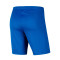 Spodenki Nike Kids dzianina Park III