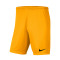 Spodenki Nike Kids dzianina Park III