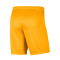 Spodenki Nike Kids dzianina Park III