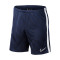 Spodenki Nike Kids Academy 19 Knit