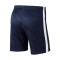 Spodenki Nike Kids Academy 19 Knit