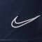 Spodenki Nike Kids Academy 21 dzianina