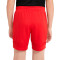 Spodenki Nike Akademia Kids 21