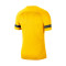 Koszulka Nike Akademia 21 Trening s/s