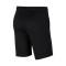 Bermudy Nike Kids Park 20
