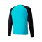 Koszulka Puma teamPACER Bramkarz l/s
