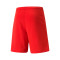 Spodenki Puma teamRISE