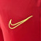 Długie spodnie Nike Academy 21 Knit