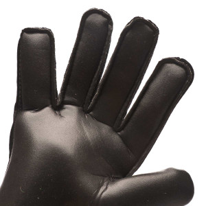 DŁOŃ-1