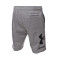 Spodenki Under Armour Rival FLC Big Logo Shorts