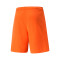 Spodenki Puma teamRISE