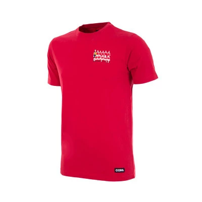 Koszulka Denmark 1992 European Champions