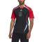 Koszulka adidas Ajax Amsterdam Fanswear 2021-2022