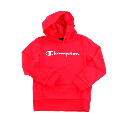 Bluza Kids Authentic Big Logo