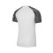 Koszulka Nike Dri-Fit Academy m/c