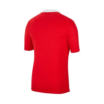 Koszulka Polo Dri-Fit Park 20 s/s