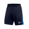 Spodenki Nike Academy Pro 22