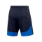 Spodenki Nike Academy Pro 22