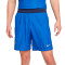 Spodenki Nike Francia Training Mundial Qatar 2022