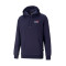 Bluza Puma Essentials + Logo