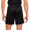 Spodenki Nike Academy 23 Knit