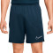 Spodenki Nike Academy 23 Knit