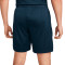 Spodenki Nike Academy 23 Knit