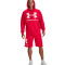 Bluza Under Armour UA Rival Fleece Big Logo Hoodie