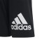 Spodenki adidas Essentials Big Logo Niño