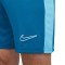 Spodenki Nike Dri-Fit Academy 23