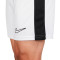 Spodenki Nike Dri-Fit Academy 23