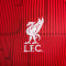 Koszulka Nike Liverpool FC Pre-Match 2023-2024