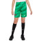 Spodenki Nike Paris Saint-Germain FC Primera Equipación Portero 2023-2024 Niño