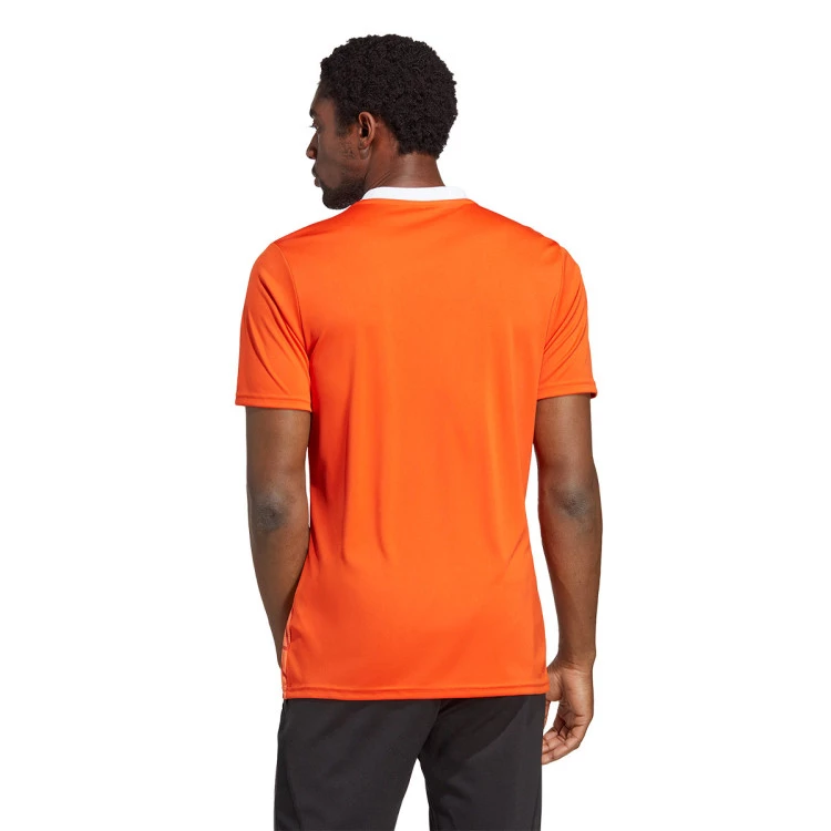 camiseta-adidas-team-icon-23-team-orange-3