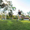 Training Star-Kick