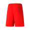 Spodenki Puma teamLIGA
