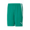 Spodenki Puma teamLIGA