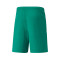 Spodenki Puma teamLIGA