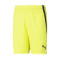 Spodenki Puma Team LIGA