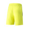 Spodenki Puma Team LIGA