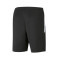 Spodenki Puma teamLIGA Training