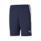 Spodenki Puma teamLIGA Training