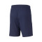 Spodenki Puma teamLIGA Training