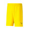 Spodenki Puma teamRISE