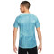 Koszulka Nike Dri-Fit Academy 23 AOP