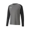 Koszulka Puma teamPACER m/l Portero