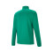 Bluza Puma teamRISE